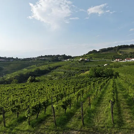 Bed & Breakfast Grad Kojsko