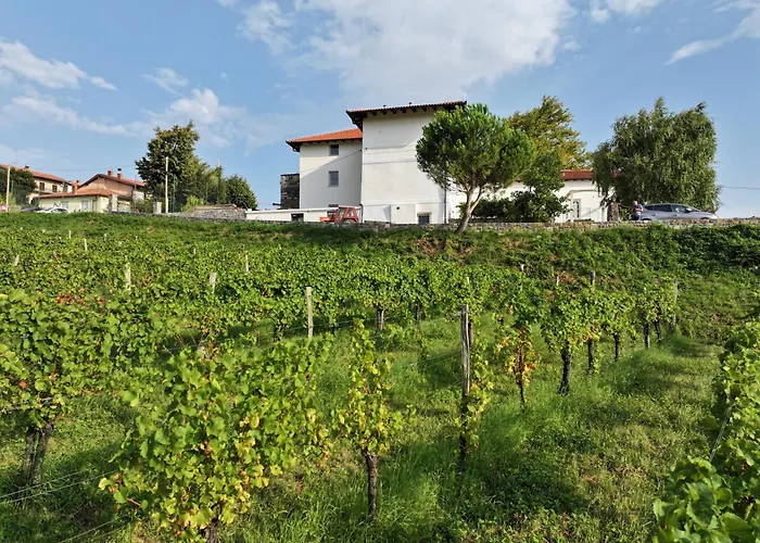 Grad Nočitev z zajtrkom *