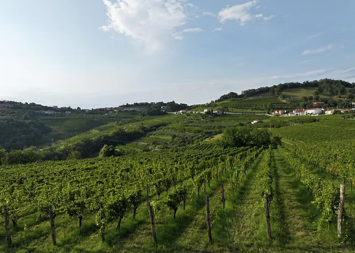 Nočitev z zajtrkom Grad Kojsko